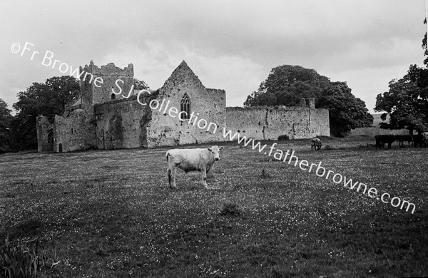 KILCOOLEY ABBEY FROM W.